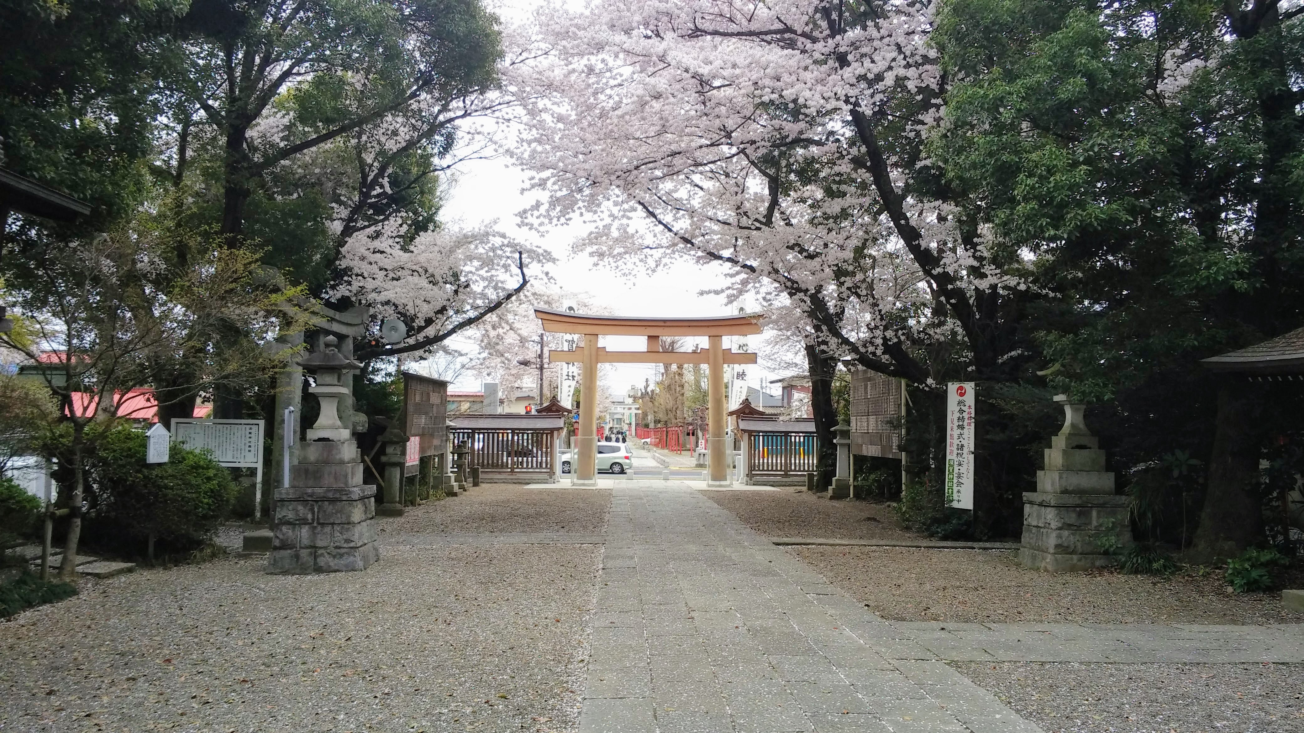 小山市の御朱印 須賀神社 泉龍寺 間々田八幡宮 延命寺 御朱印japan